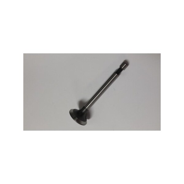 Valve Exhaust
